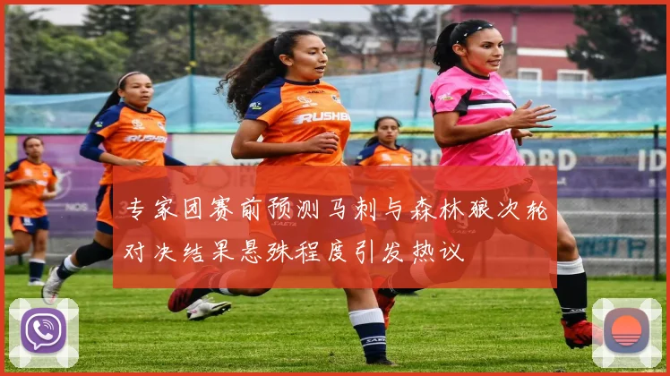 专家团赛前预测马刺与森林狼次轮对决结果悬殊程度引发热议
